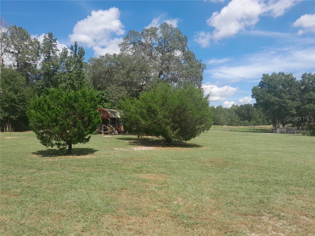 3731 SE 117th Terrace Morriston FL 32668 OM709464 image32