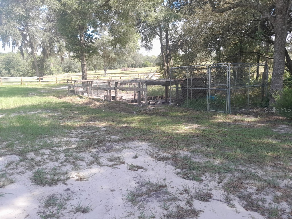 3731 SE 117th Terrace Morriston FL 32668 OM709464 image34