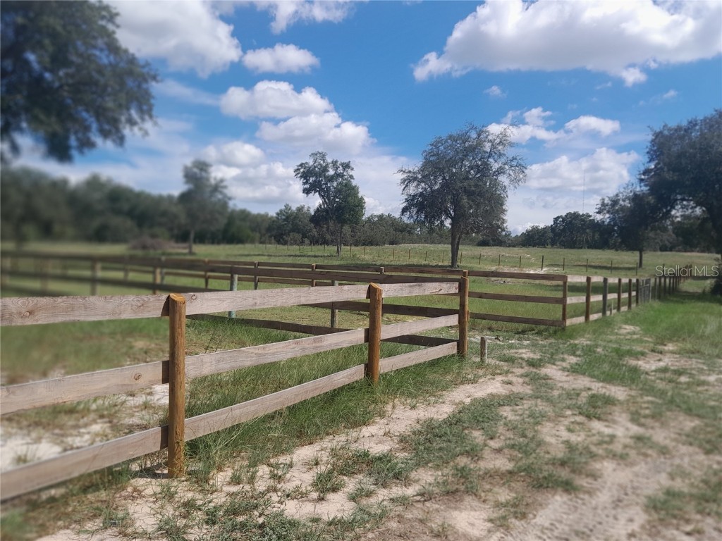 3731 SE 117th Terrace Morriston FL 32668 OM709464 image36