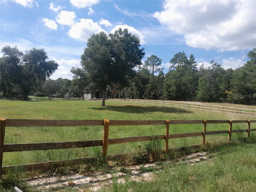 3731 SE 117th Terrace Morriston FL 32668 OM709464 image42