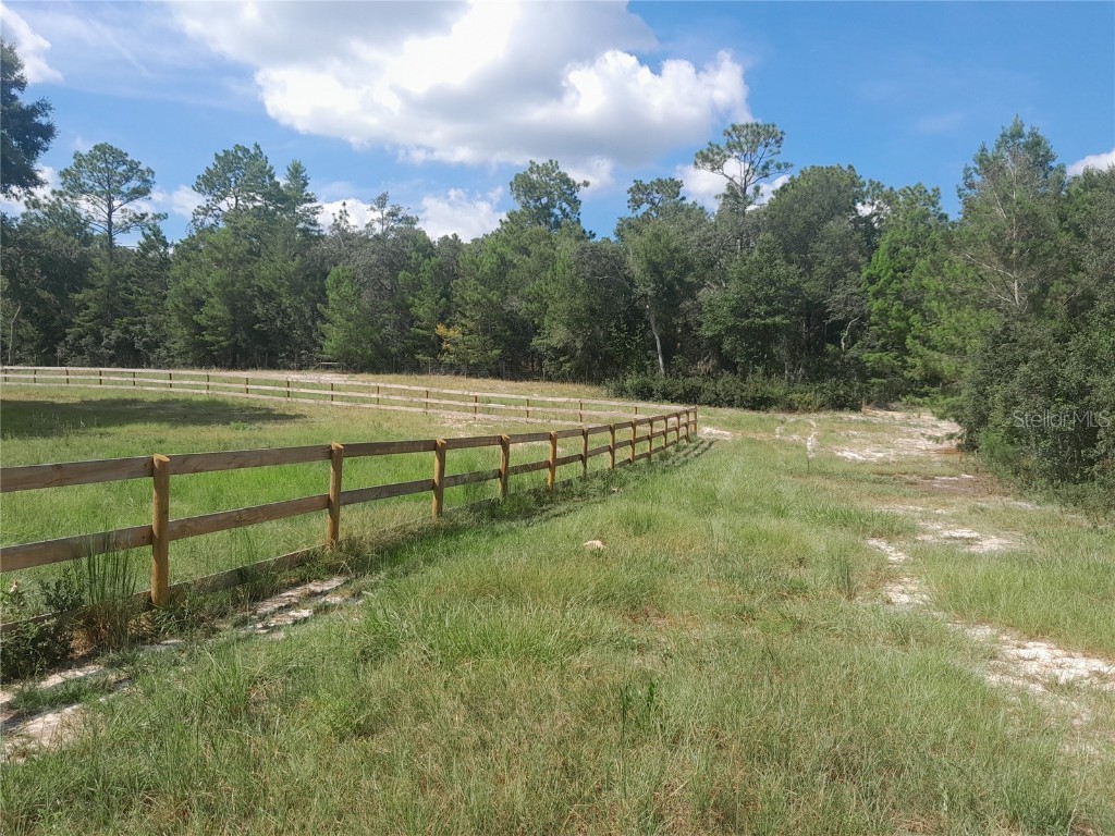 3731 SE 117th Terrace Morriston FL 32668 OM709464 image46