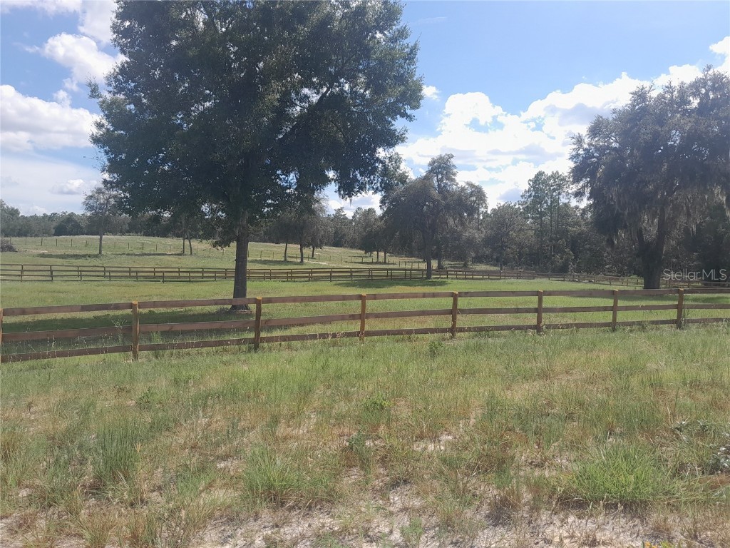 3731 SE 117th Terrace Morriston FL 32668 OM709464 image47