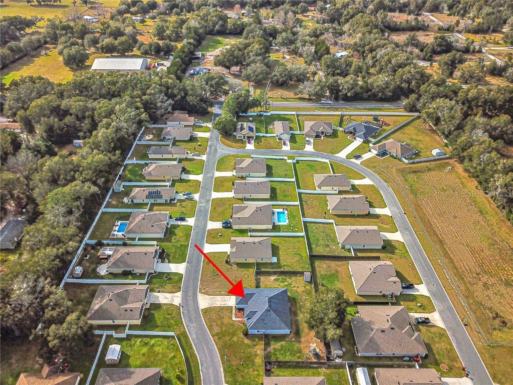 3731 SE 98th Place Belleview FL 34420 OM671531 image9