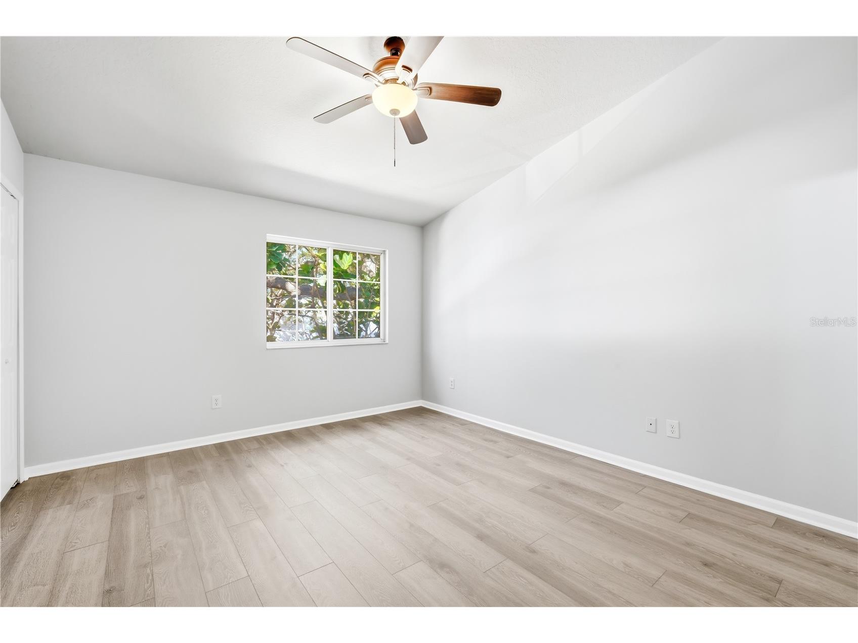 3731 W Cass Street Tampa FL 33609 TB8480895 image19