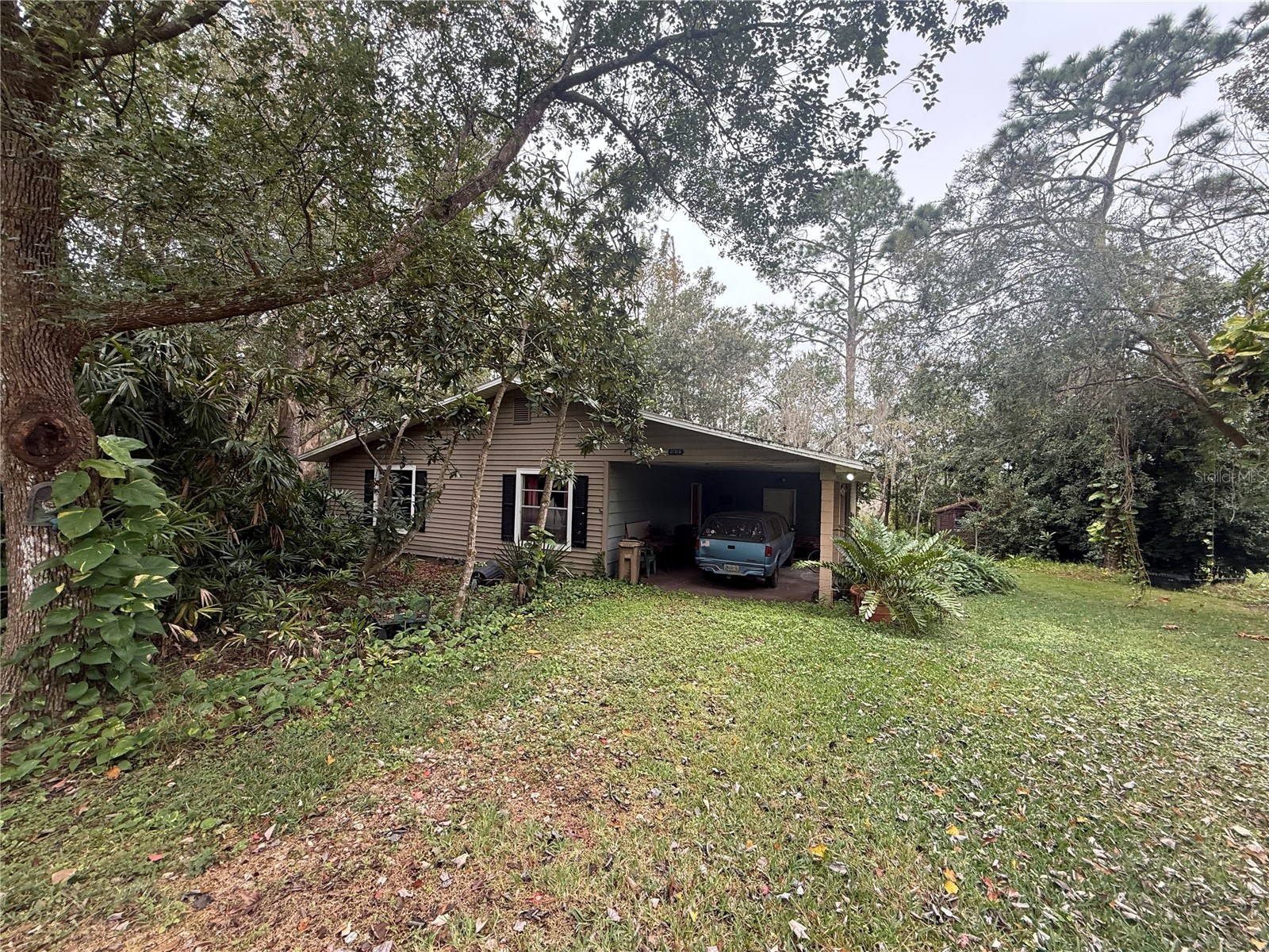 37315 Beach Drive Umatilla FL 32784 G5106786 image1