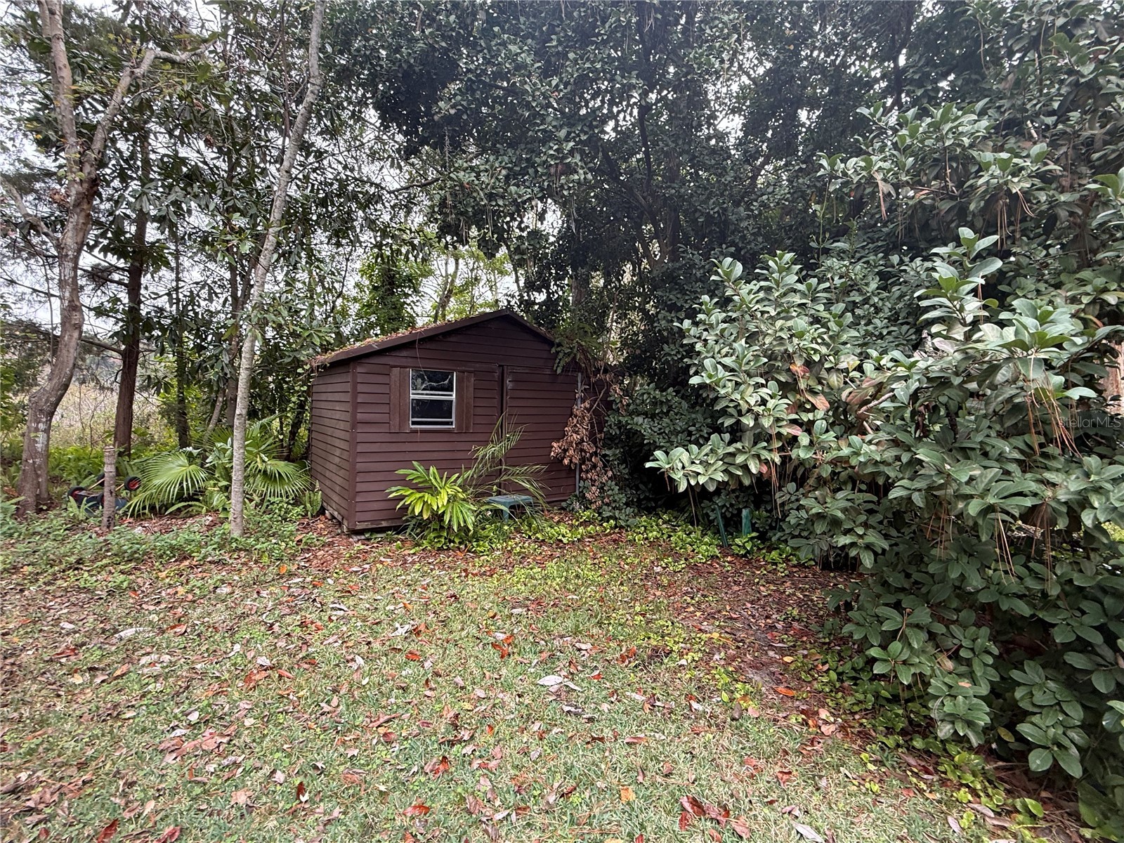 37315 Beach Drive Umatilla FL 32784 G5106786 image13