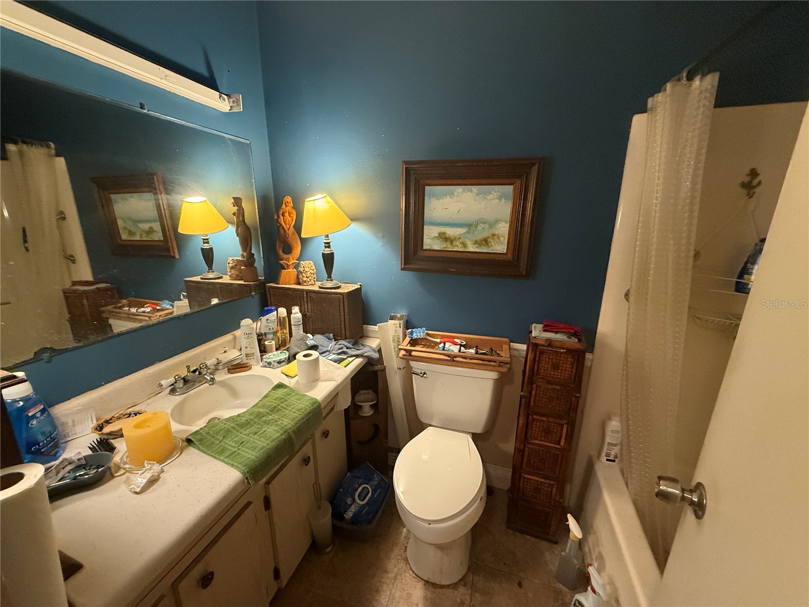 37315 Beach Drive Umatilla FL 32784 G5106786 image9