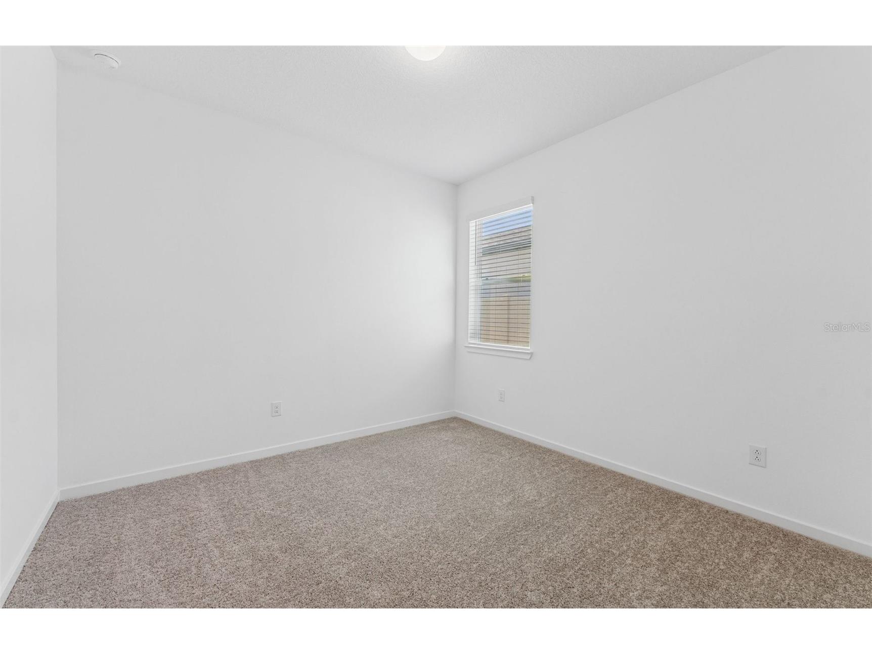 37315 Gunnison Drive Zephyrhills FL 33540 TB8416706 image15