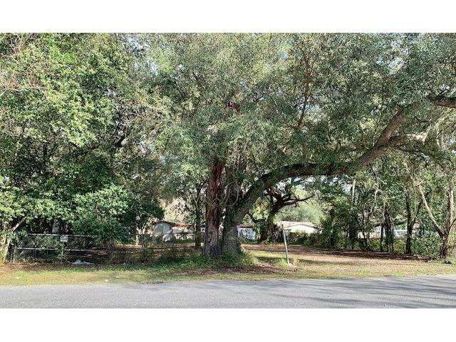 37318 Hobby Way Lady Lake FL 32159 O6088385 image1