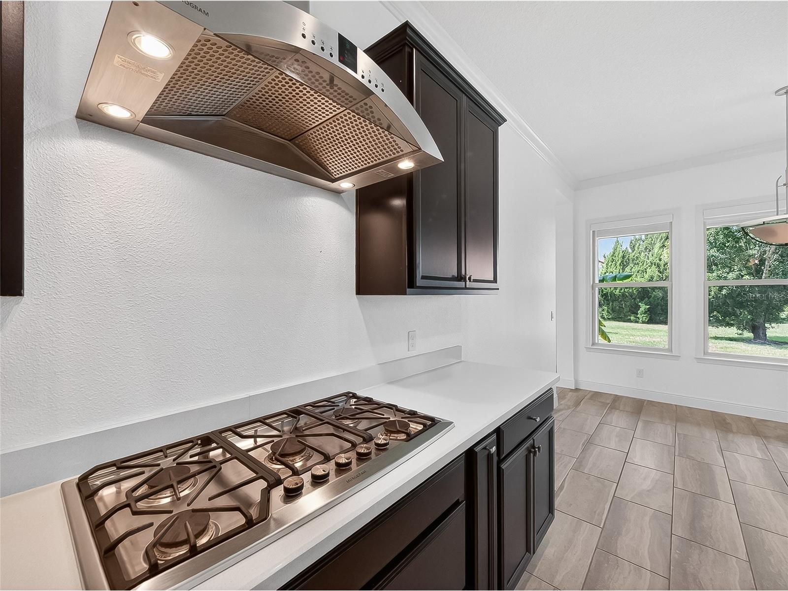 3732 Farm Bell Place Lake Mary FL 32746 O6416661 image7