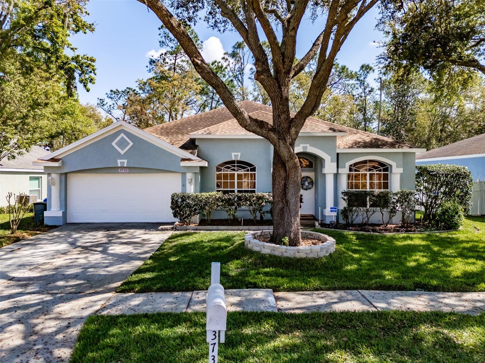 3732 Hollow Wood Drive Valrico FL 33596 TB8486167 image1