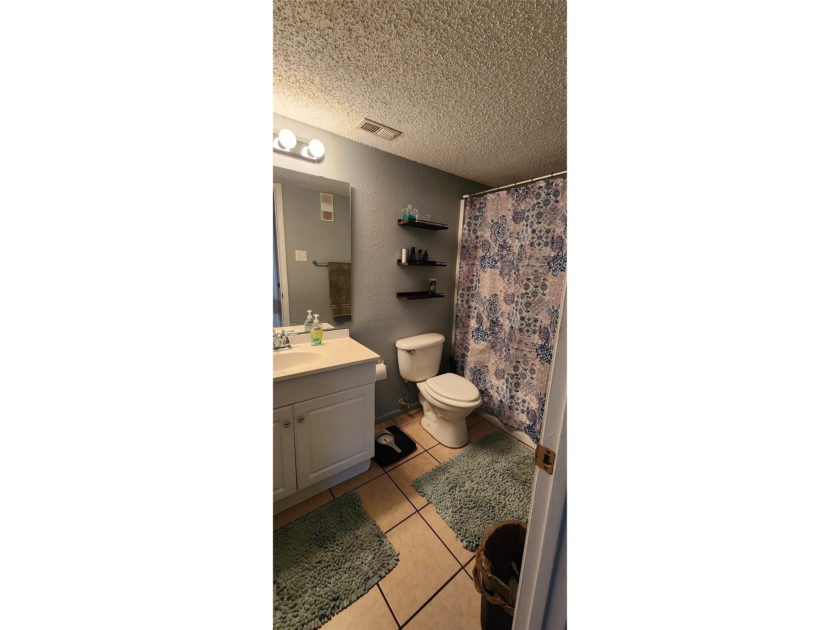 3732 Idlebrook Circle #102 Casselberry FL 32707 O6385261 image9