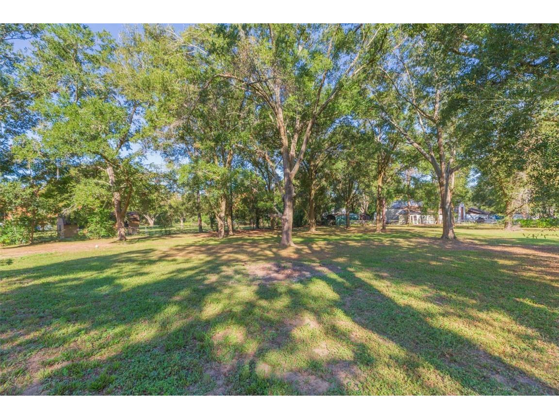 37321 Orange Row Lane Dade City FL 33525 TB8442726 image38