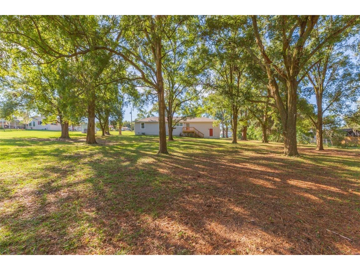 37321 Orange Row Lane Dade City FL 33525 TB8442726 image40