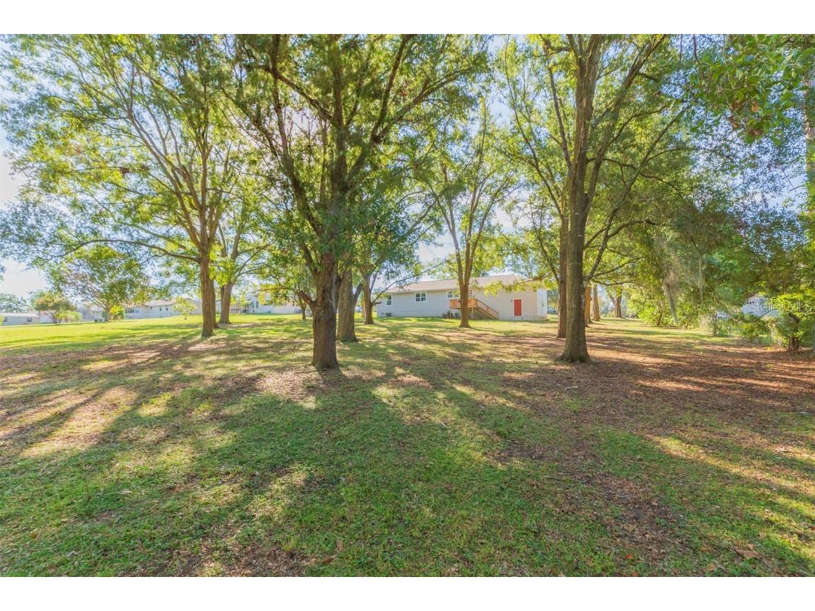 37321 Orange Row Lane Dade City FL 33525 TB8442726 image41