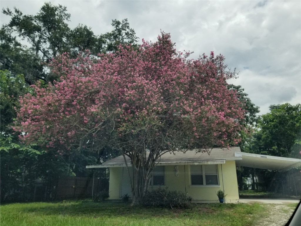 37322 State Road 54 Zephyrhills FL 33542 T3540291 image1