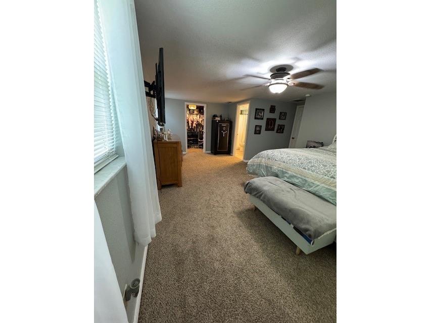 37325 Vero Lane Dade City FL 33525 TB8408133 image10