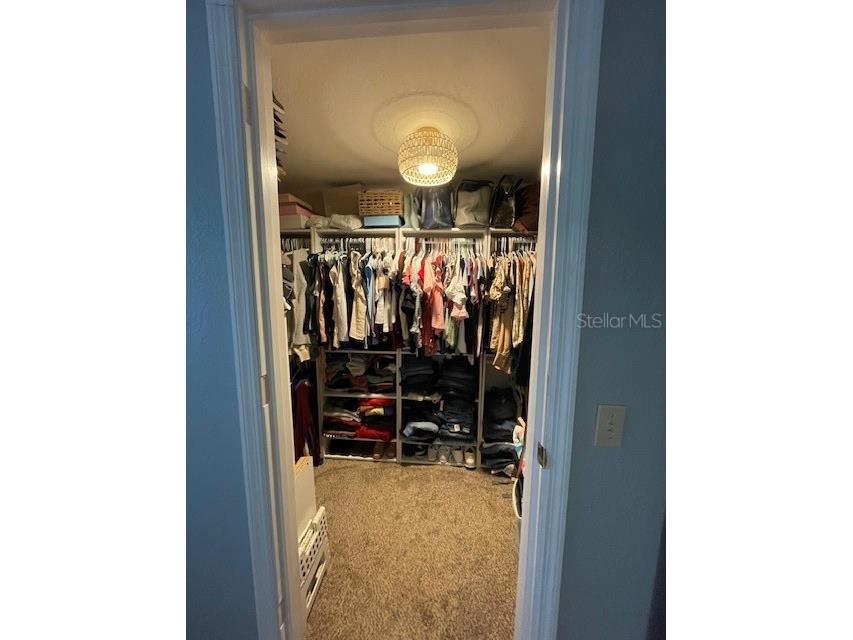 37325 Vero Lane Dade City FL 33525 TB8408133 image11