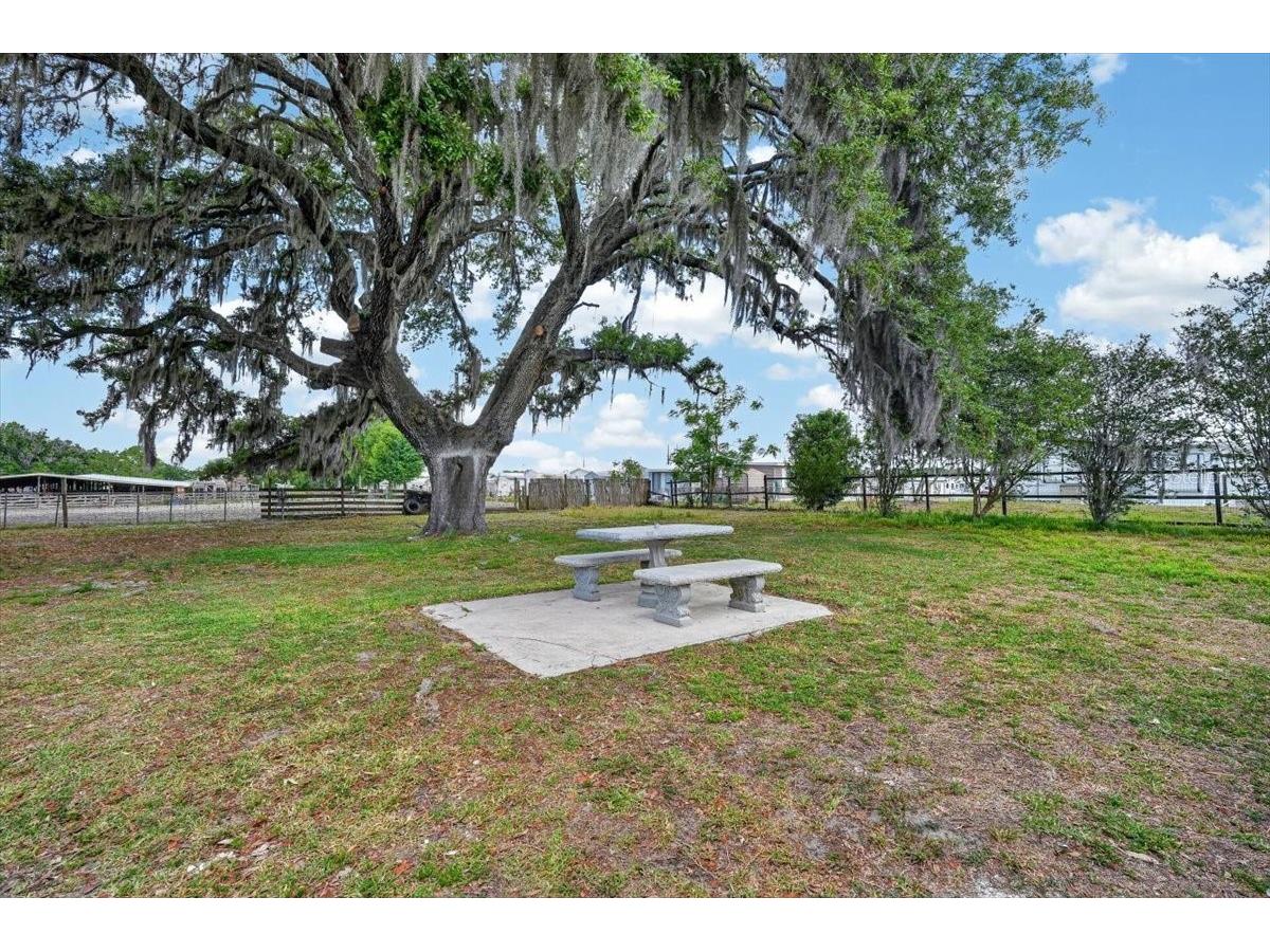 37327 Stanford Avenue Zephyrhills FL 33541 TB8499949 image39