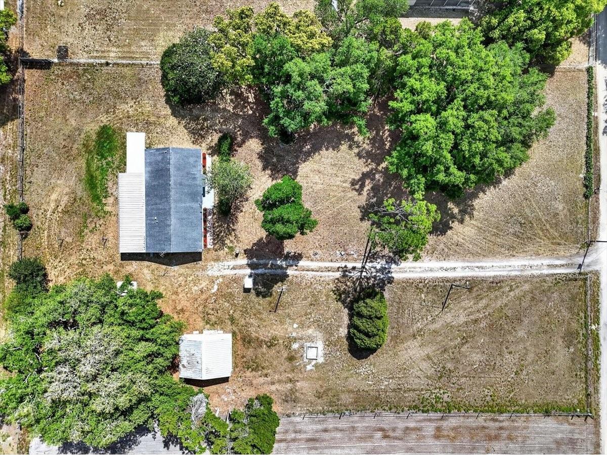 37327 Stanford Avenue Zephyrhills FL 33541 TB8499949 image47