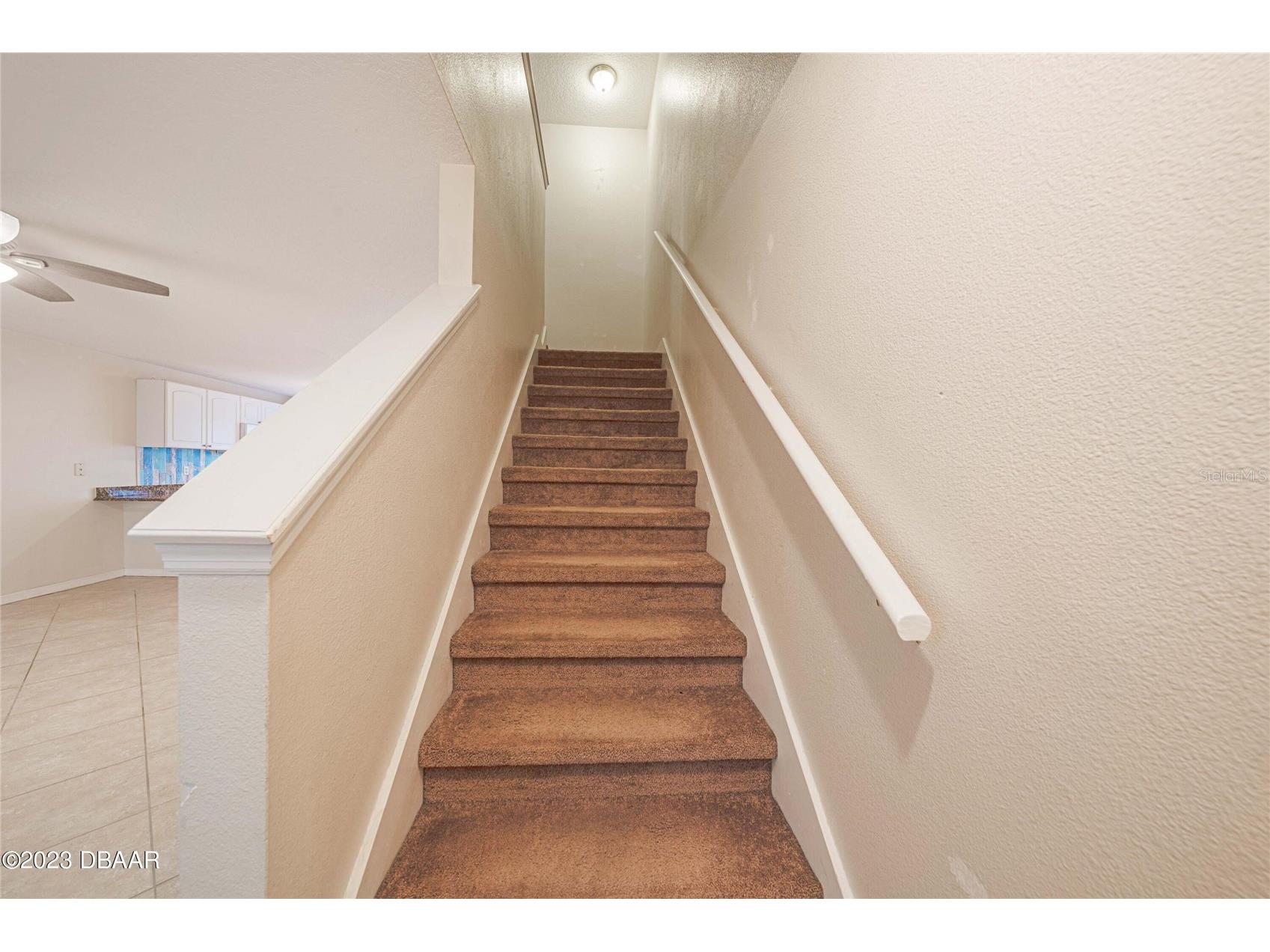3733 Cardinal Boulevard #2 Daytona Beach FL 32118 NS1087212 image14