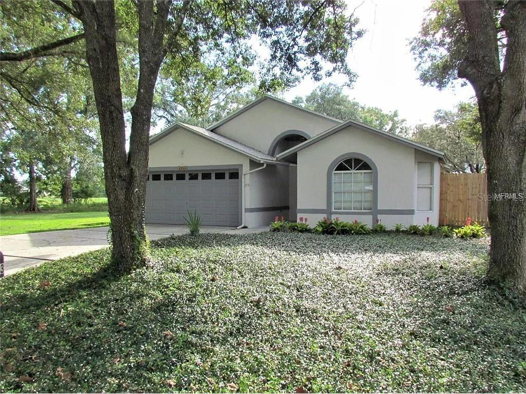 3733 Saint Augustine Place Land O Lakes FL 34639 T3435329 image1