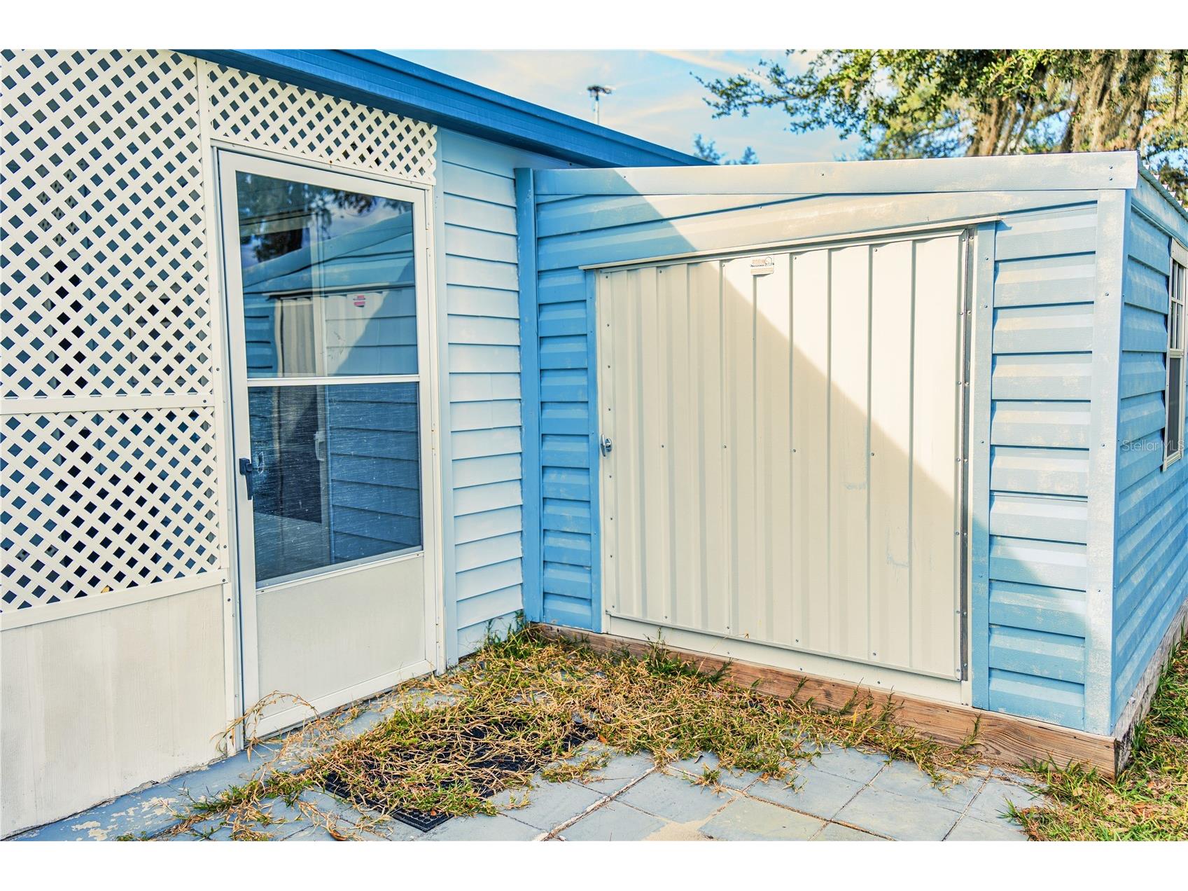 37331 Hammond Drive Zephyrhills FL 33541 TB8459139 image21