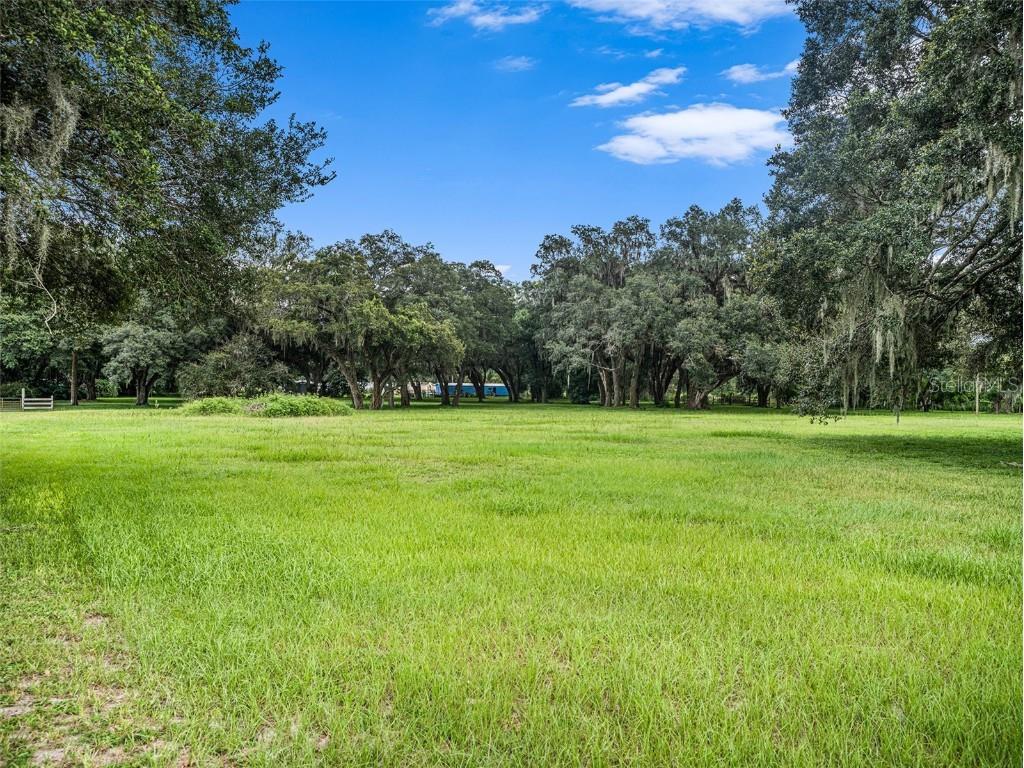 37331 Jernstrom Lane Zephyrhills FL 33541 T3466198 image1