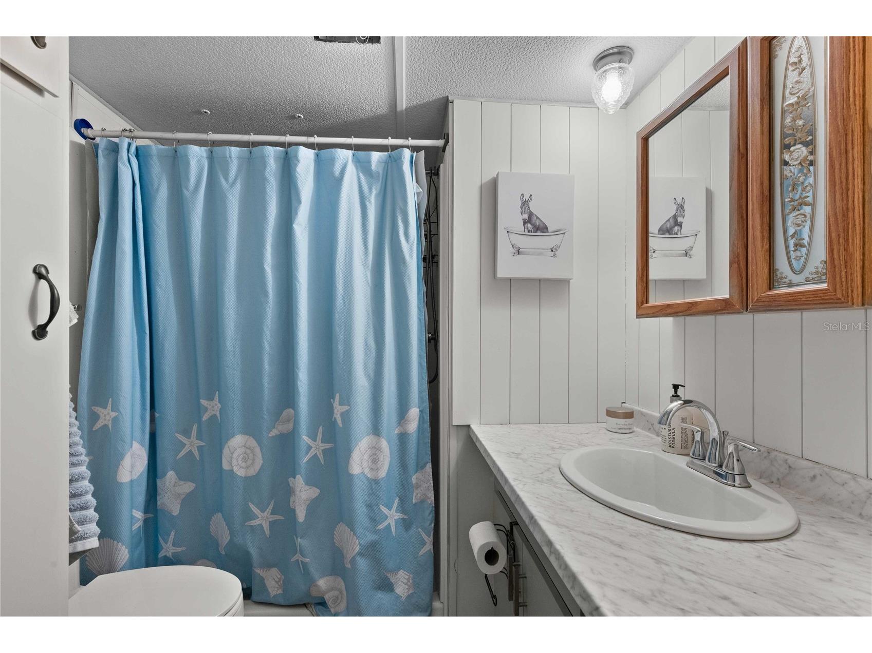 37332 Sandra Avenue Zephyrhills FL 33542 TB8482514 image17