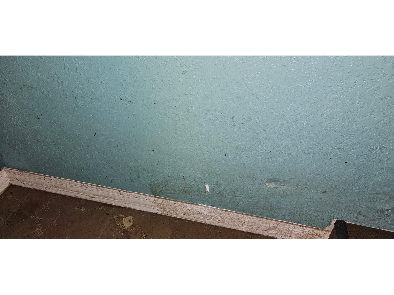 37332 State Road 54 Zephyrhills FL 33542 TB8444734 image24