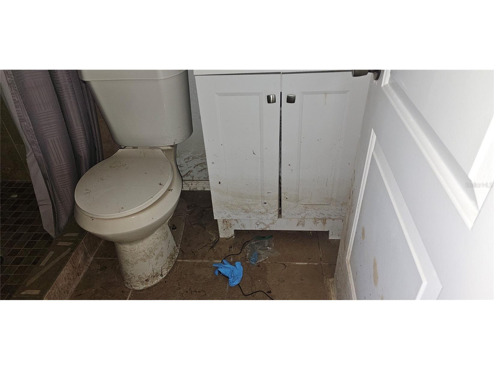 37332 State Road 54 Zephyrhills FL 33542 TB8444734 image25