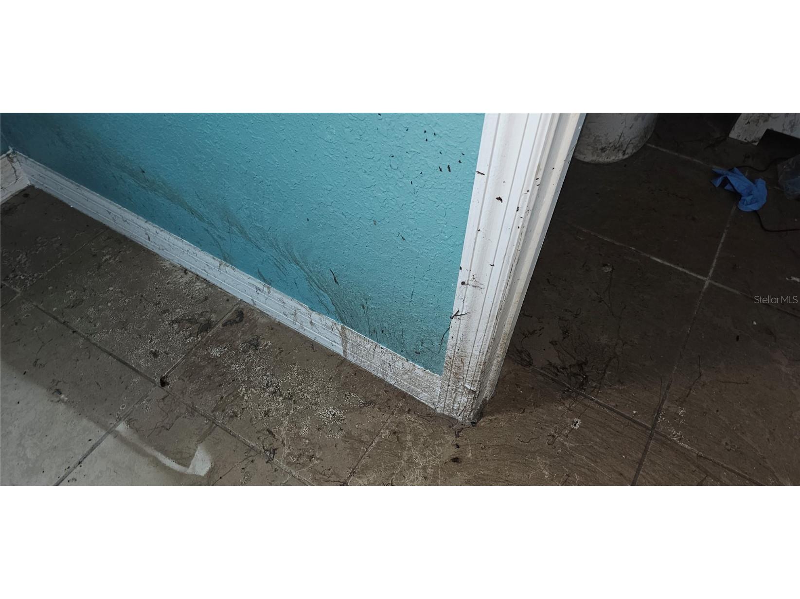 37332 State Road 54 Zephyrhills FL 33542 TB8444734 image26