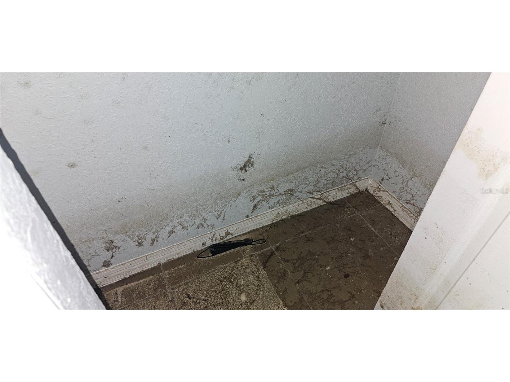37332 State Road 54 Zephyrhills FL 33542 TB8444734 image27
