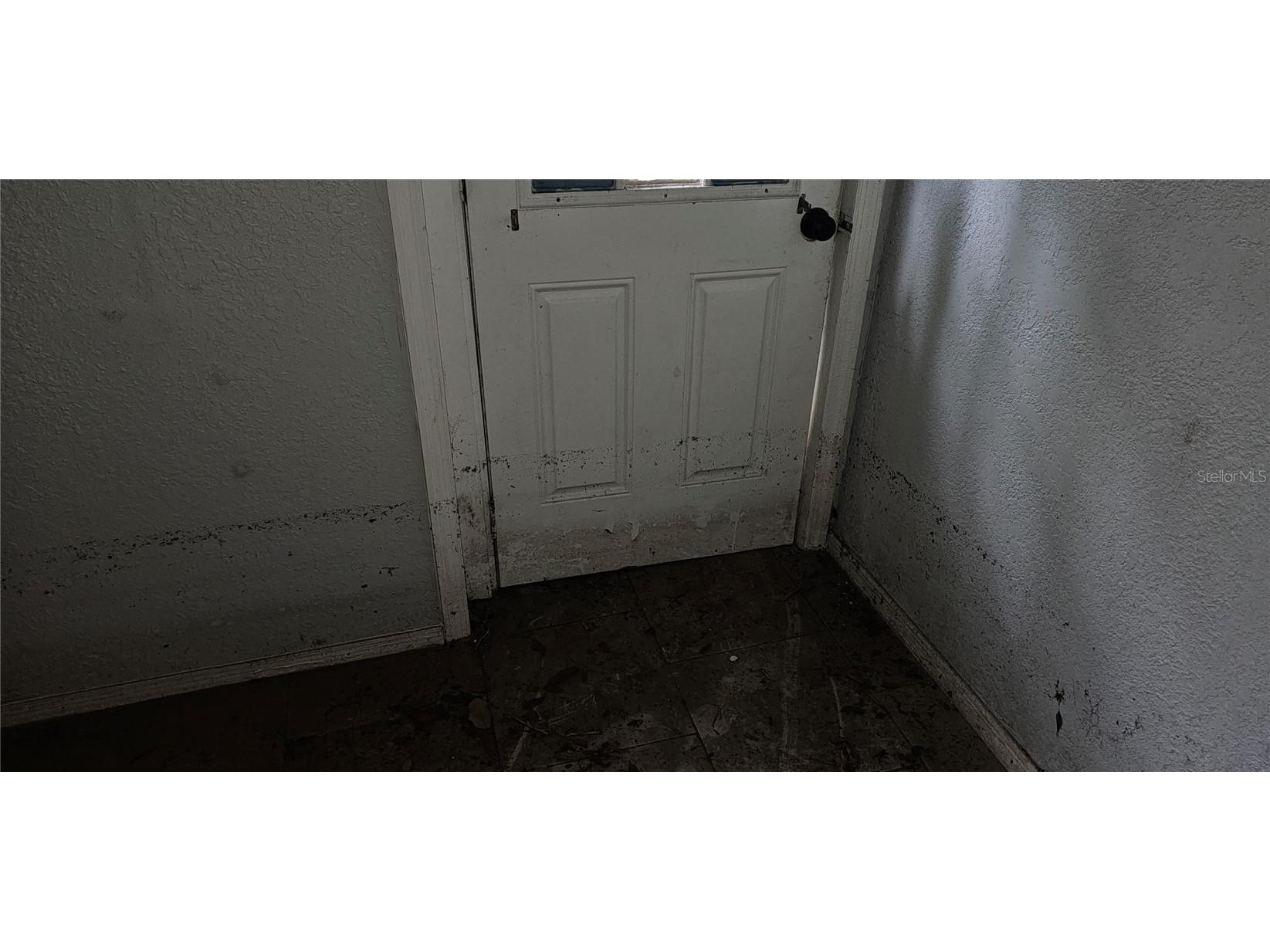 37332 State Road 54 Zephyrhills FL 33542 TB8444734 image28