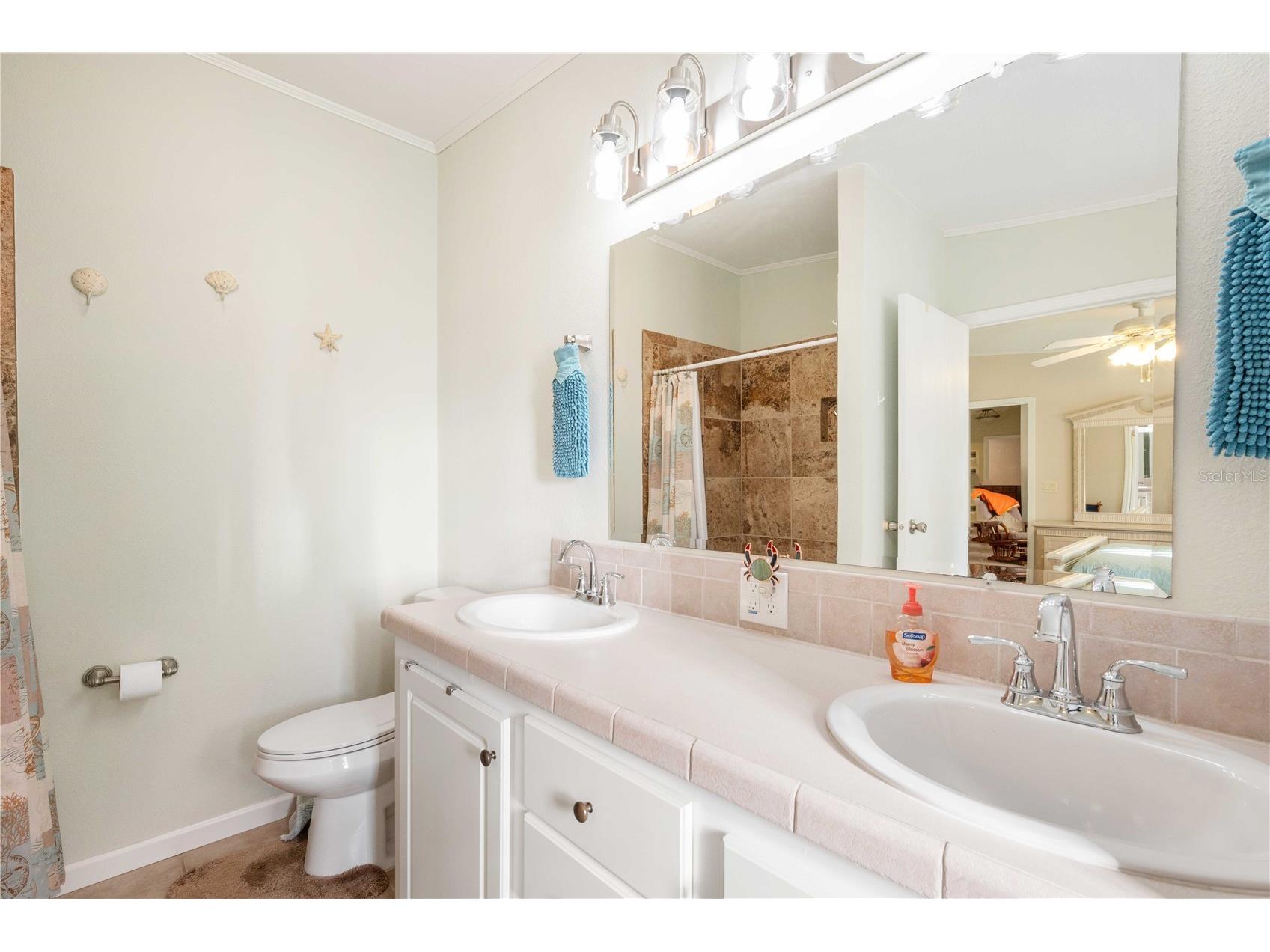 37338 Sandra Avenue Zephyrhills FL 33542 TB8465919 image25