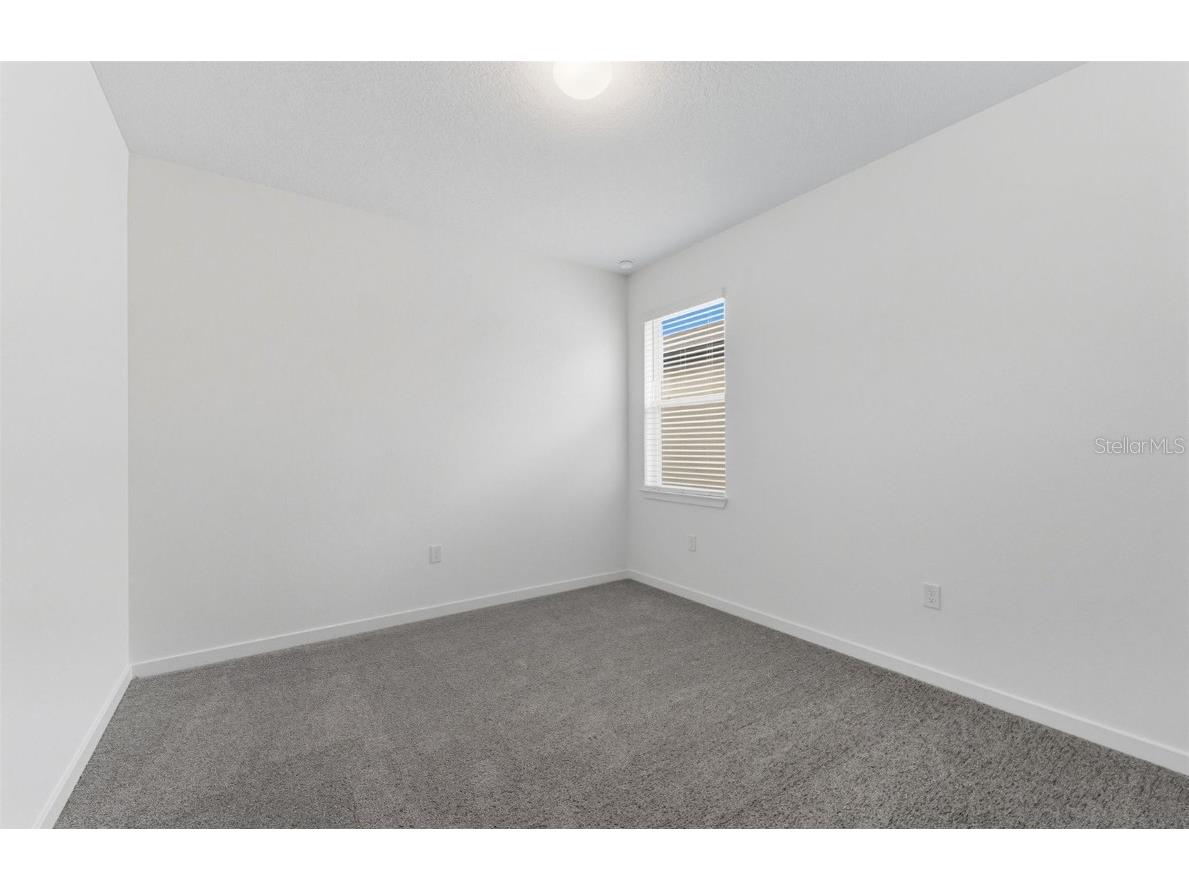 3734 Obsidian Drive Spring Hill FL 34609 TB8438051 image13