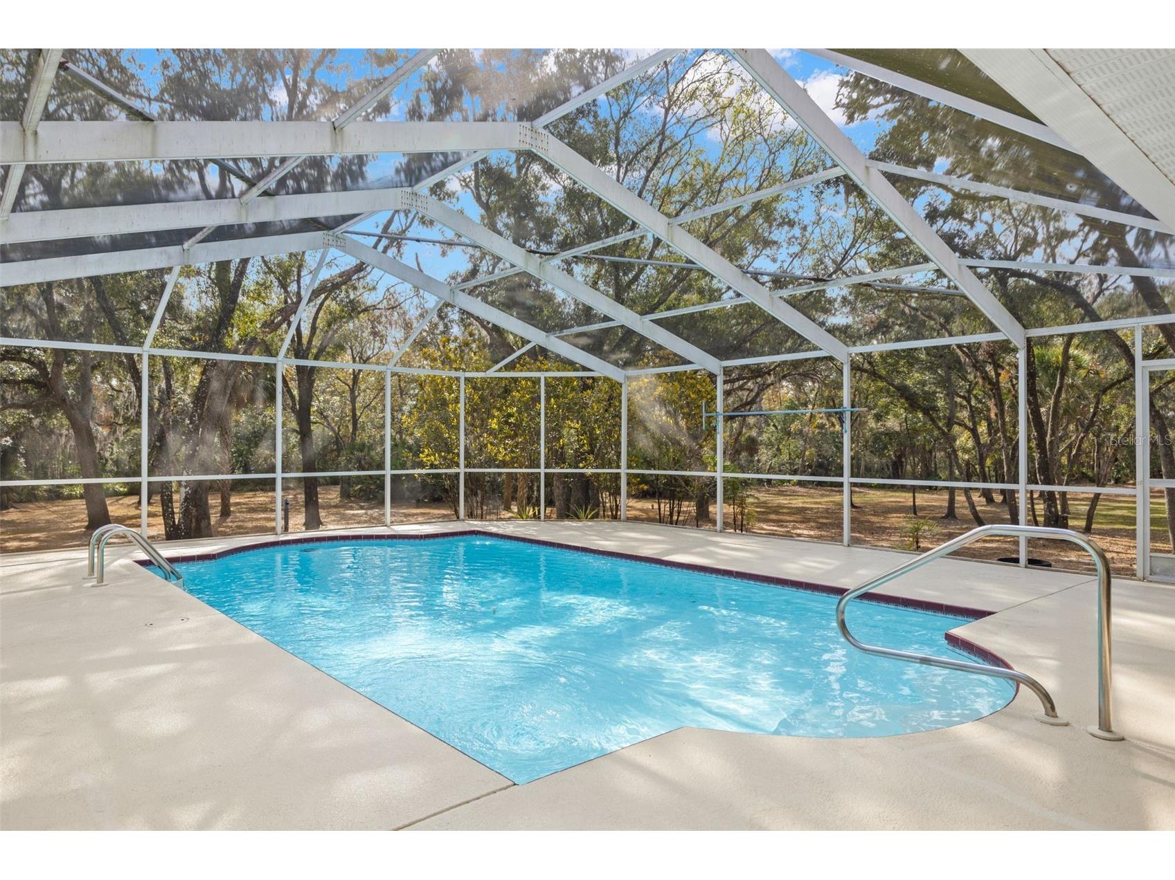3734 Thornbush Lane New Port Richey FL 34655 TB8451445 image3