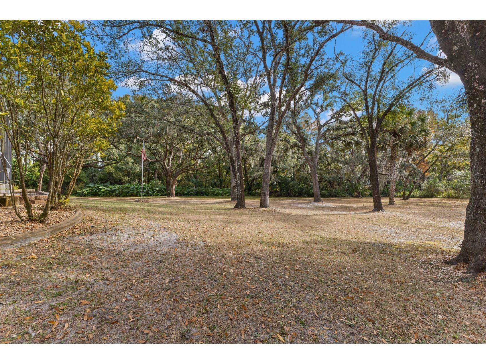 3734 Thornbush Lane New Port Richey FL 34655 TB8451445 image33