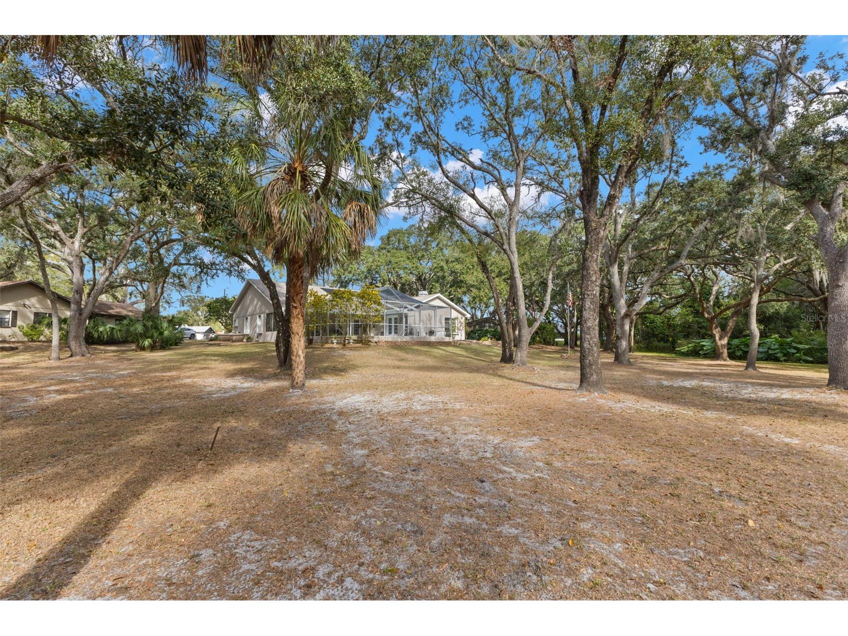 3734 Thornbush Lane New Port Richey FL 34655 TB8451445 image34