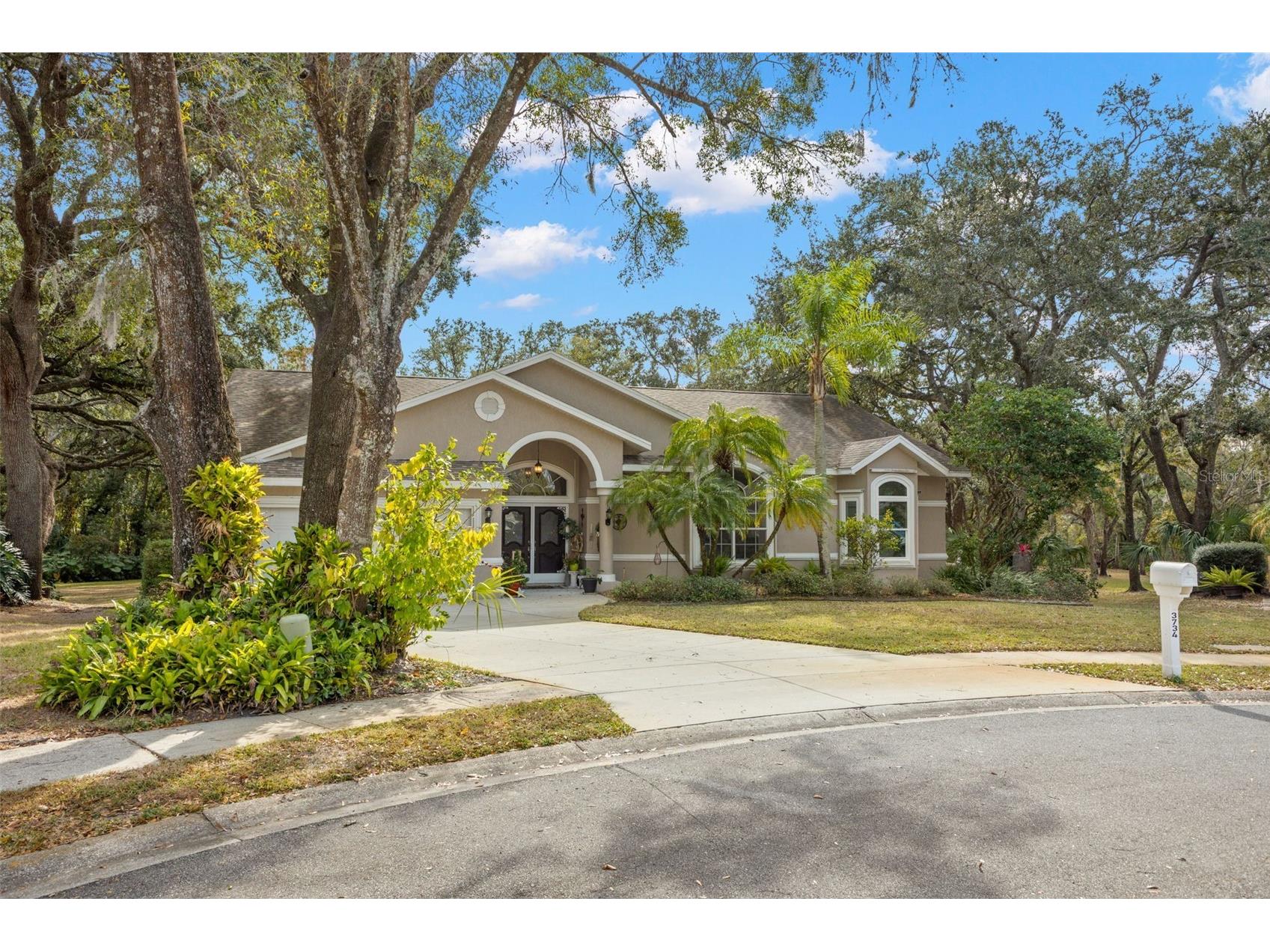 3734 Thornbush Lane New Port Richey FL 34655 TB8451445 image36