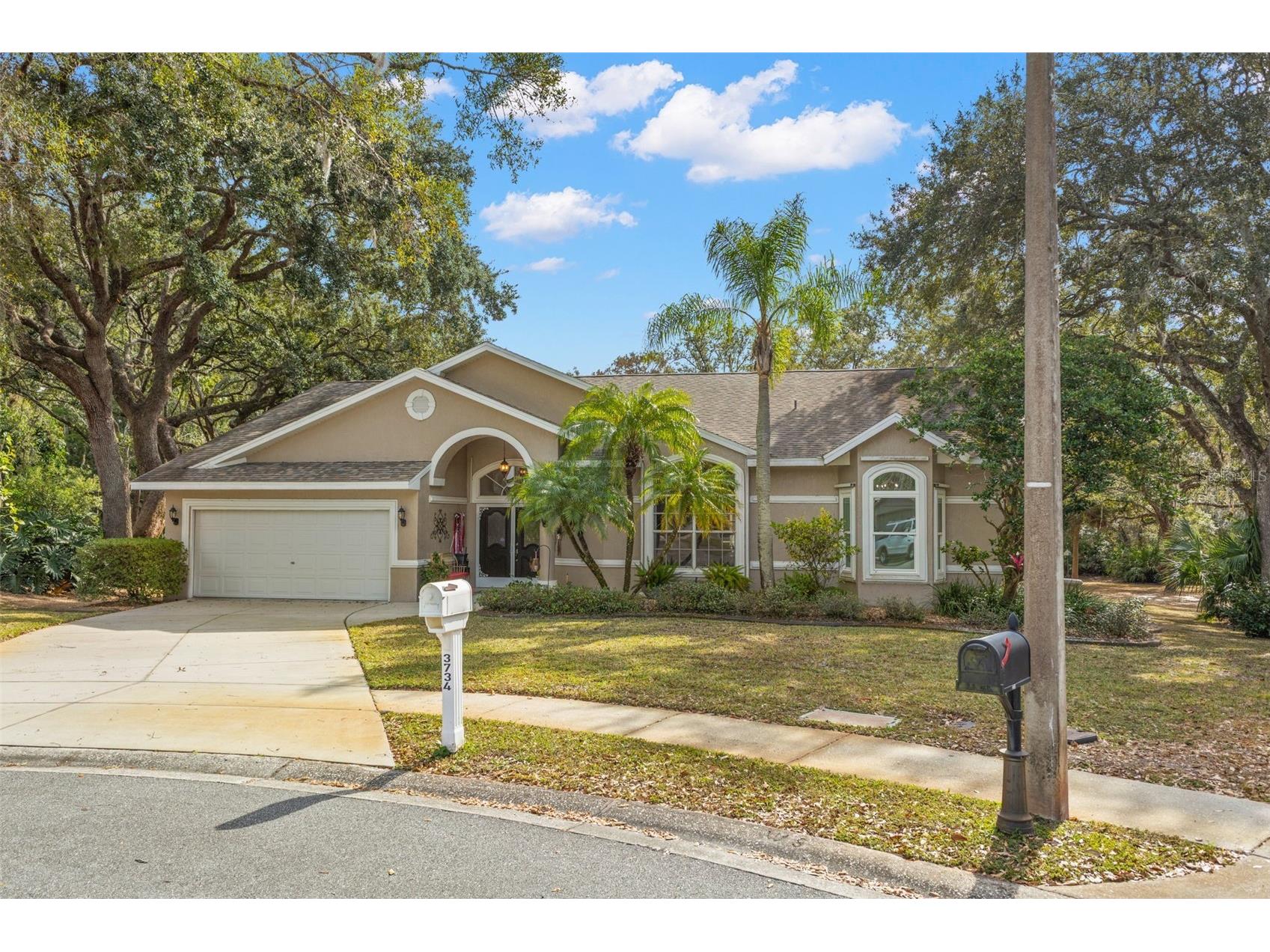 3734 Thornbush Lane New Port Richey FL 34655 TB8451445 image37