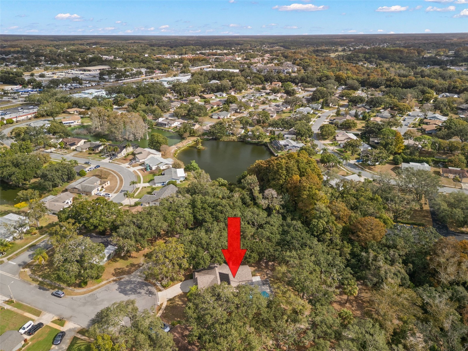 3734 Thornbush Lane New Port Richey FL 34655 TB8451445 image40
