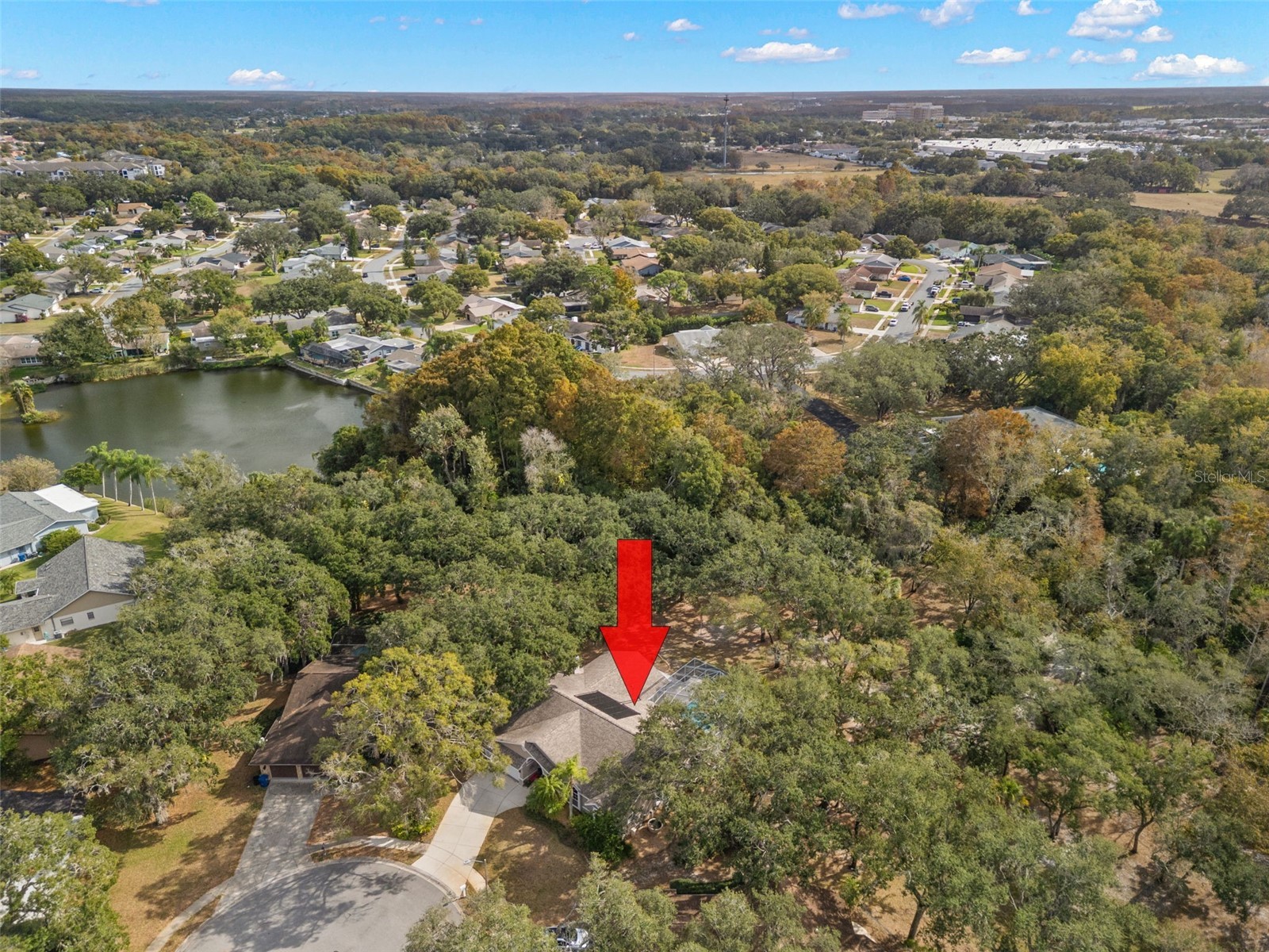3734 Thornbush Lane New Port Richey FL 34655 TB8451445 image43