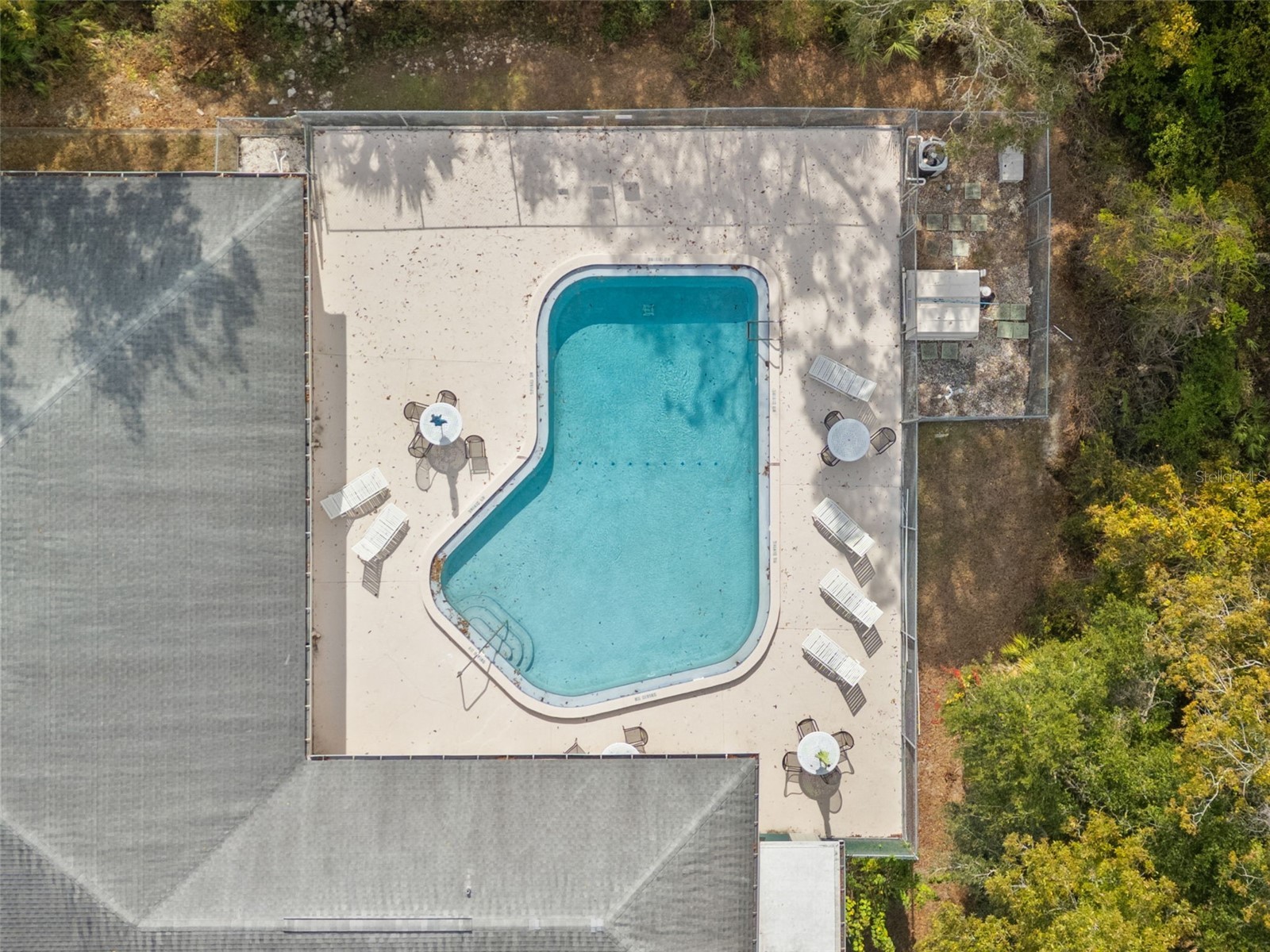 3734 Thornbush Lane New Port Richey FL 34655 TB8451445 image46