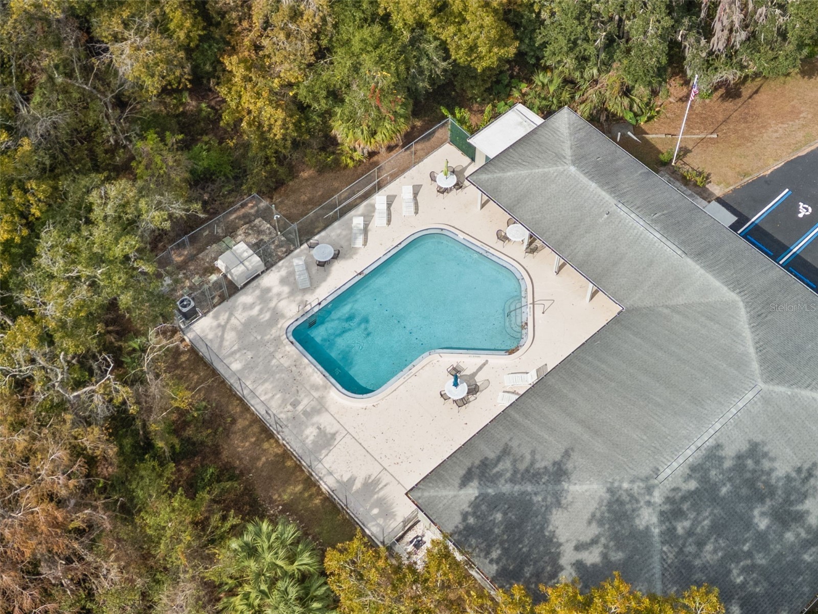3734 Thornbush Lane New Port Richey FL 34655 TB8451445 image47