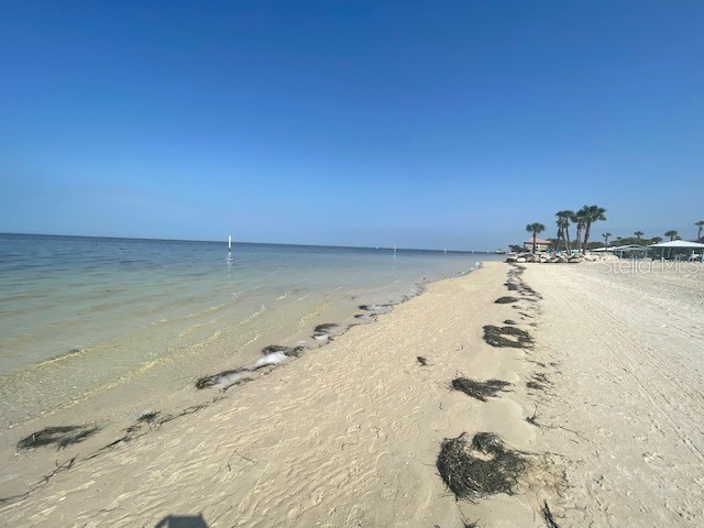 3734 Topsail Trail New Port Richey FL 34652 TB8513261 image56