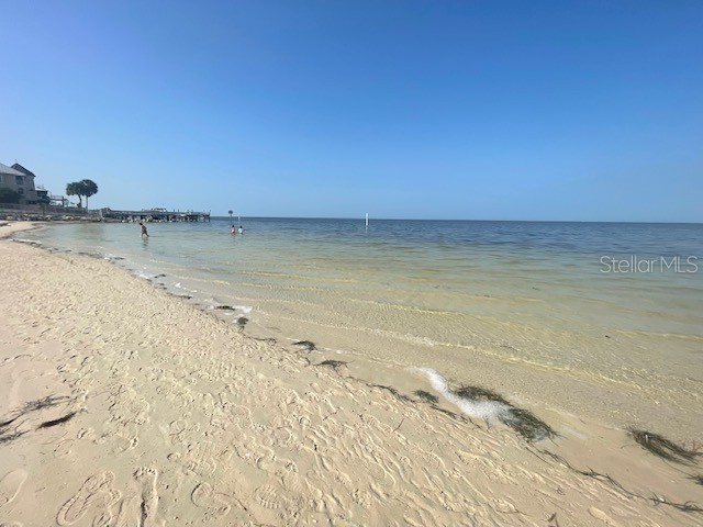 3734 Topsail Trail New Port Richey FL 34652 TB8513261 image57