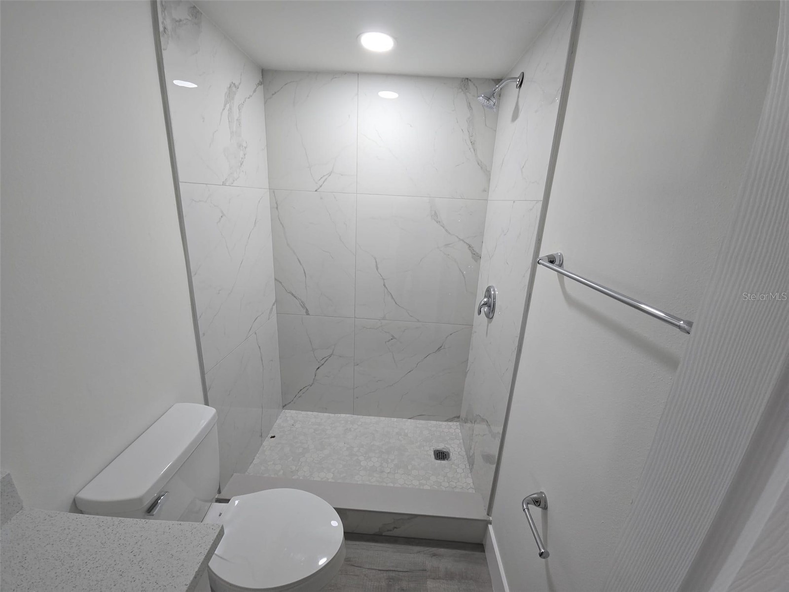 37344 Stanford Avenue Zephyrhills FL 33541 O6381689 image15