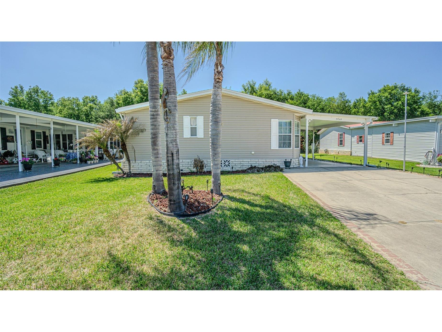 37349 Gill Avenue Zephyrhills FL 33541 TB8497010 image15
