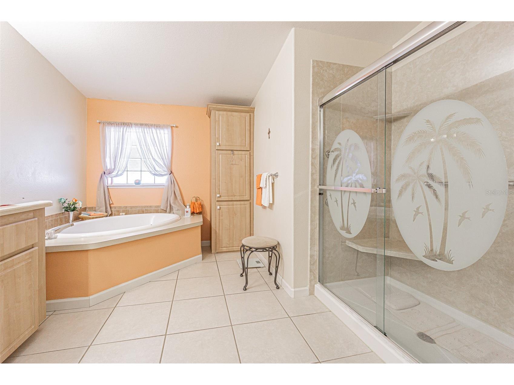 37349 Gill Avenue Zephyrhills FL 33541 TB8497010 image18